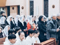 7C_1546747087_A79I2126.jpg